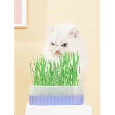 Tom Cat Pakeway Cat Grass Box Purple